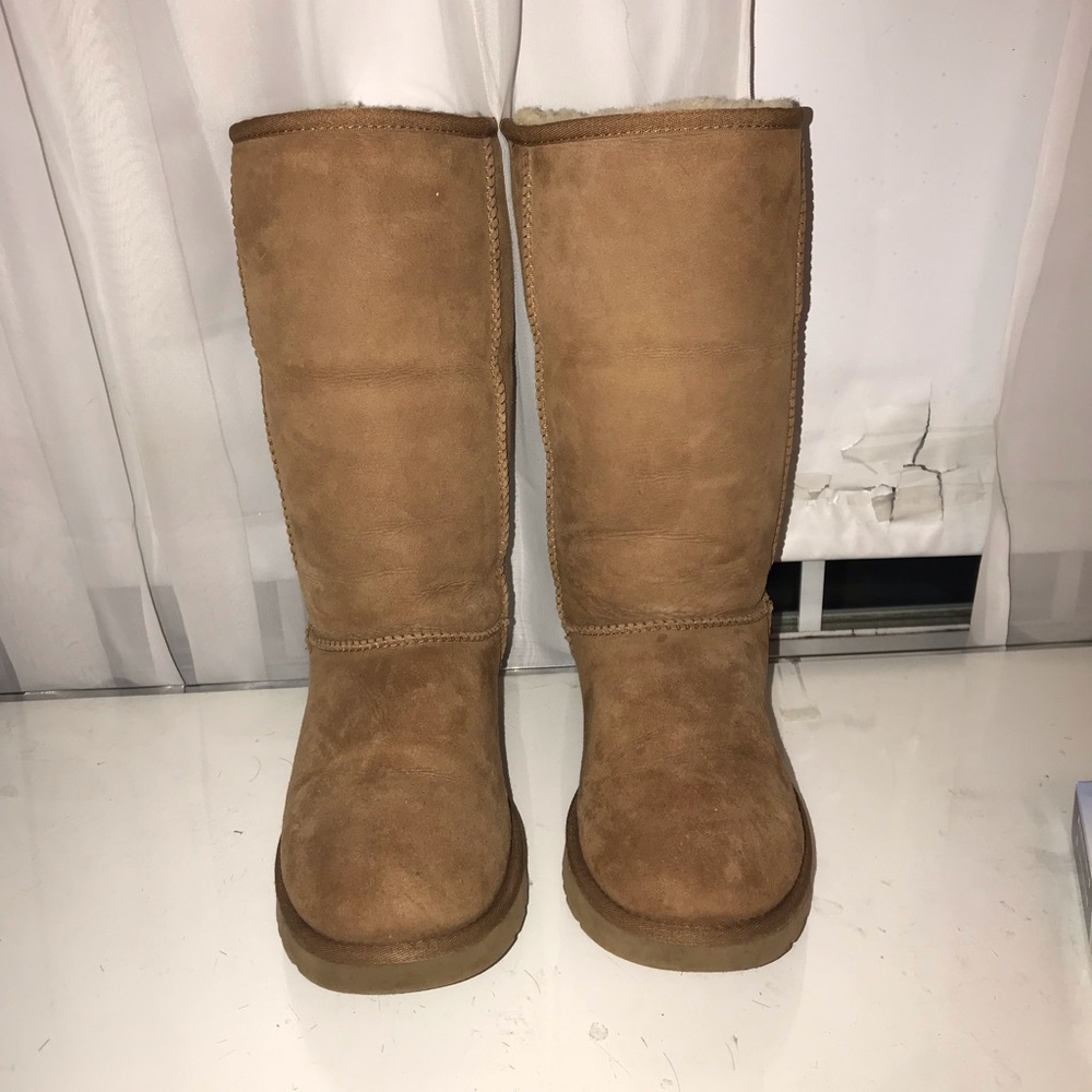 Tall chestnut uggs